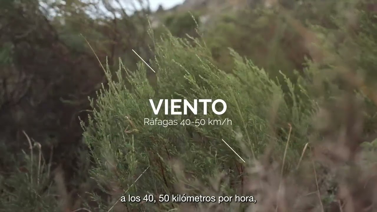08 de junio