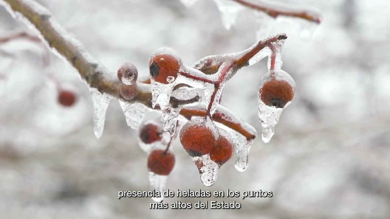 Clima 09 de diciembre