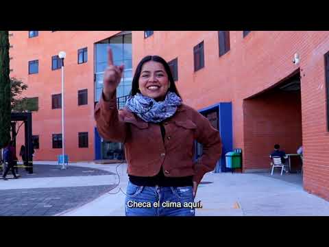 Pronostico Clima del 3 al 8 de febrero 2026 HQ 