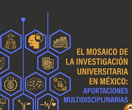 El mosaico de la investigación universitaria en México: Aportaciones multidisciplinarias