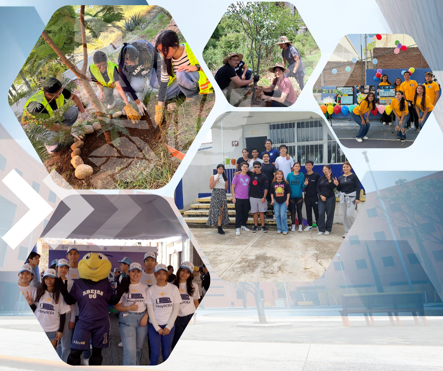 Responsabilidad Social