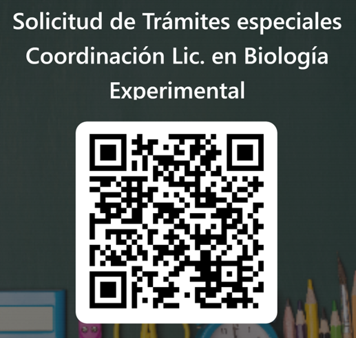 imagen_2026-08-07_131051643.png