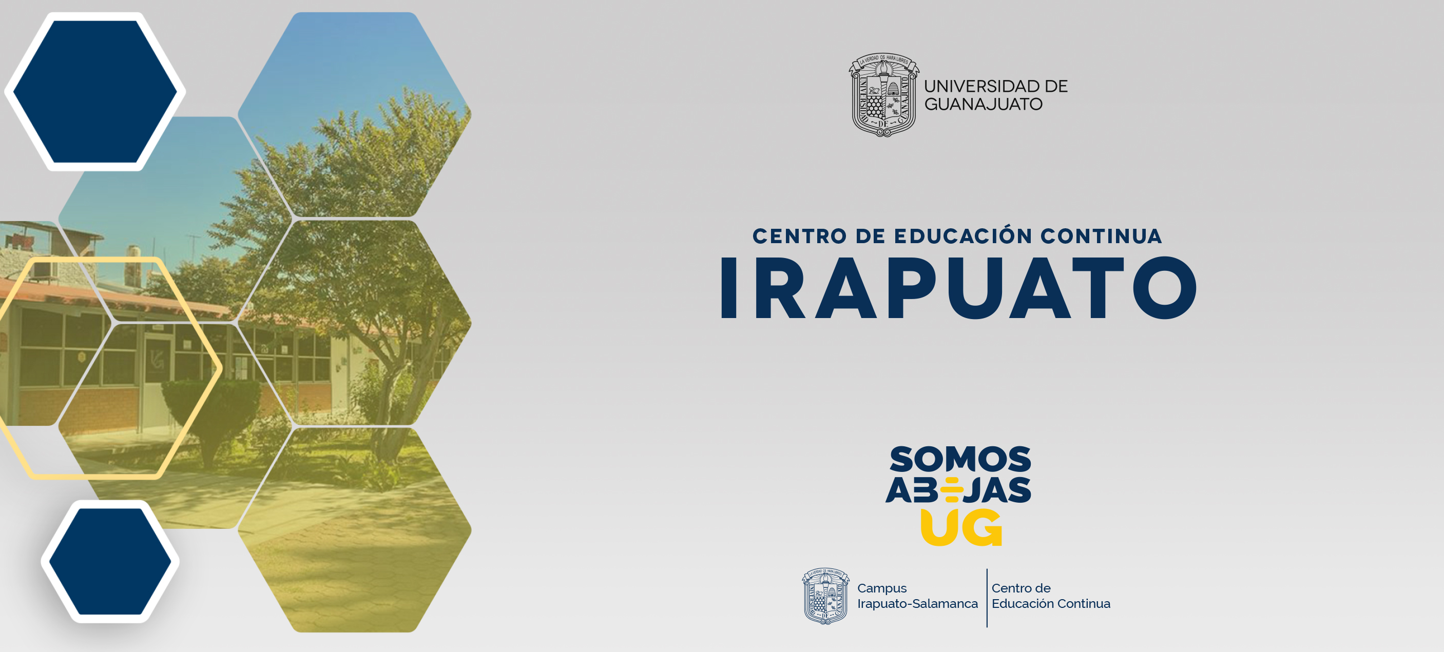 banner irapuato