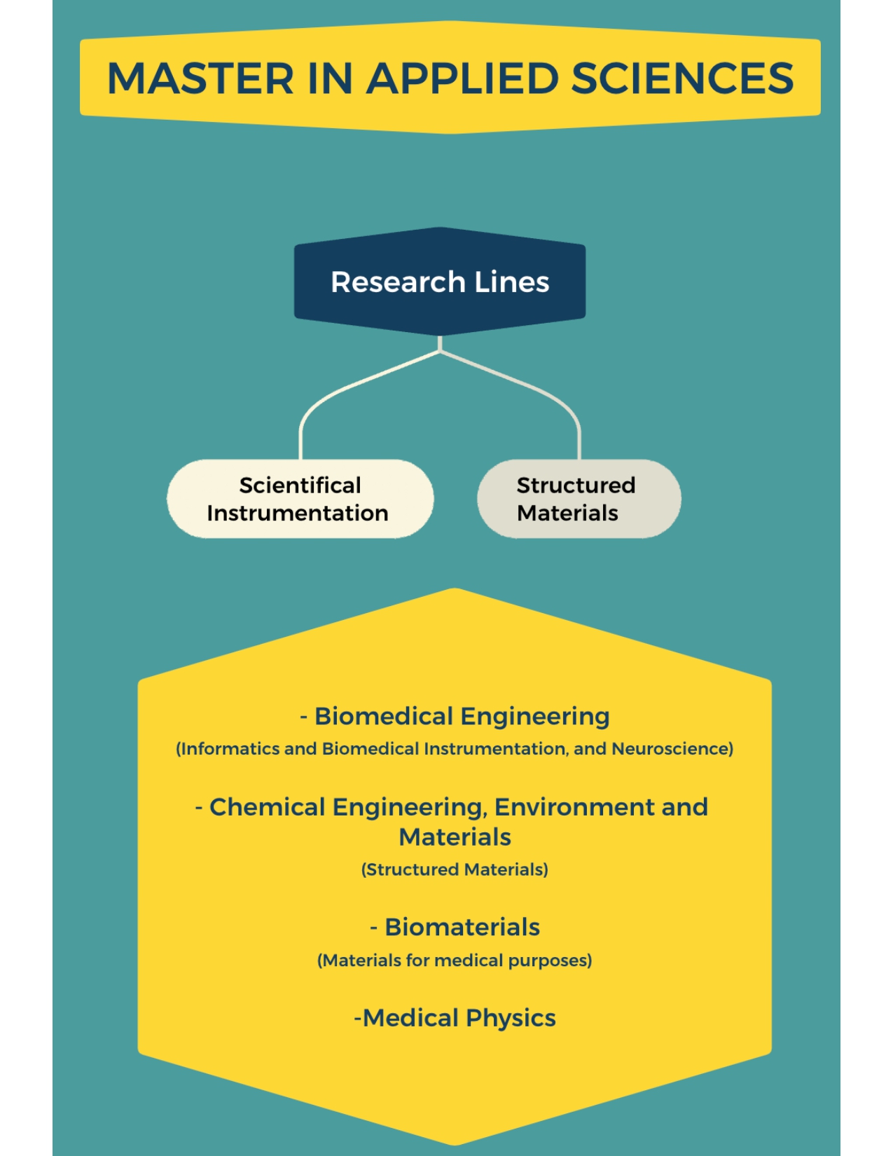 lineas de investigacion mca