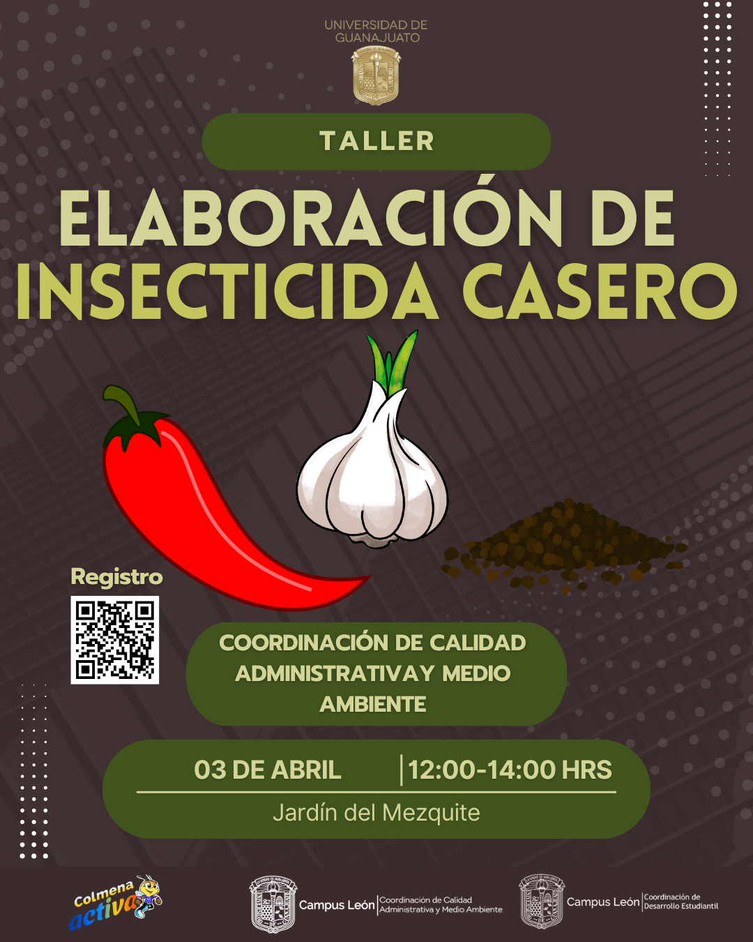 Taller Elaboracin de insecticida casero