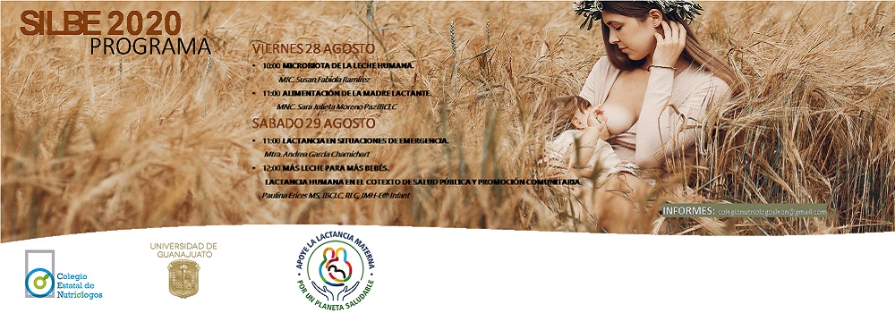 carteles SILBE2020negro