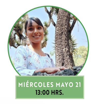 alimentacion miercoles 21