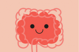 Prebióticos, probióticos y simbióticos