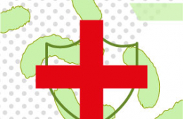 El papel multifuncional de las bacterias ácido lácticas