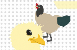 Aditivos y alimentos para las aves