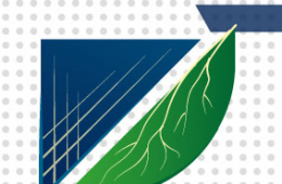 Hacia un Futuro Sostenible: La Importancia de la Energía Solar y su Tecnología