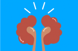 Hagamos equipo por nuestros riñones: ¡Prevenir es vivir!