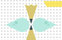 Docencia e investigación