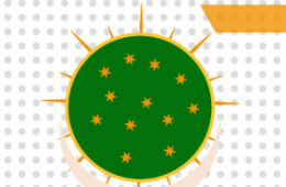 EL AXIS MUNDI GUADALUPANO: Símbolo y presencia nacional