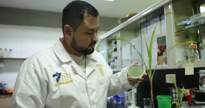 Doctorante UG investiga el potencial de hongos para sustituir pesticidas en el campo