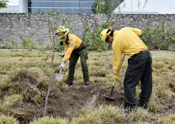 La UG fortalece sus espacios verdes con jornadas de reforestación por el Día Mundial del Medio Ambiente 