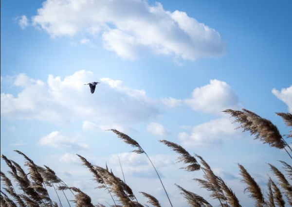 Arranca diciembre con vientos frescos y lluvia ligera en Guanajuato