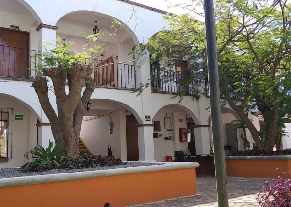 Aprueban candidaturas a la Dirección de la División de Ciencias Sociales y Administrativas