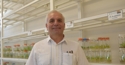 Profesorado UG culmina con éxito proyecto internacional de la OEI financiado por la Unión Europea 