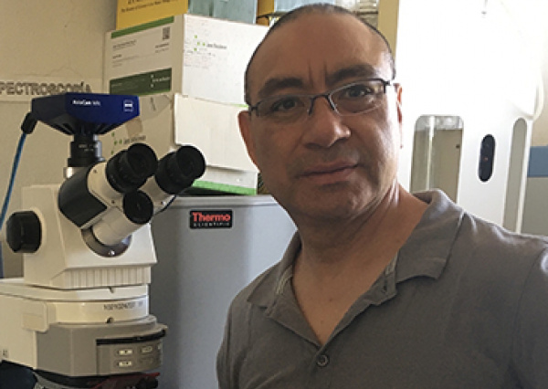 Profesores del Campus Irapuato – Salamanca obtienen el Nivel III del Sistema Nacional de Investigadores 