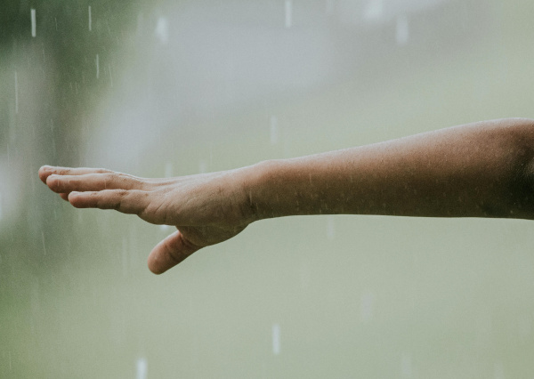 Llegan las primeras lluvias del año a Guanajuato