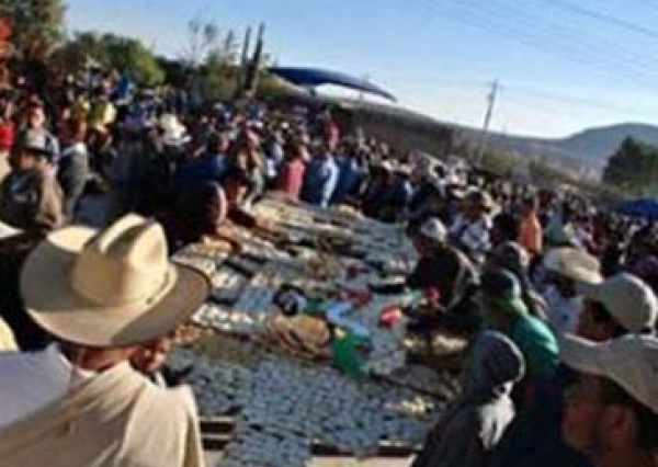 Culto a la Virgen de Guadalupe, insignia de la memoria chichimeca: académico UG 