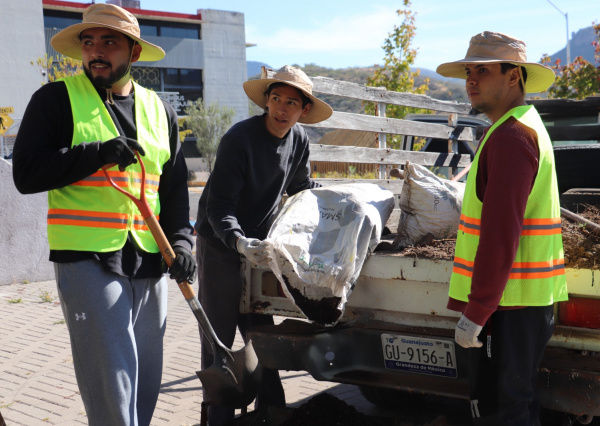 Comunidad del Campus Guanajuato trasplanta 35 retoños de árbol