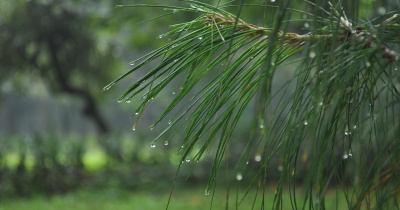 Guanajuato tendrá lluvias pasajeras y sensación térmica fría en esta semana