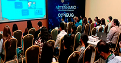 Congreso Veterinario COVEUG aportó casos clínicos de pequeñas especies y mejoras en crianza de ganado