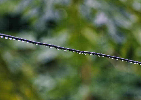 Inicia junio con lluvias y ambiente más fresco, de acuerdo con el Área de Ciencias Atmosféricas de la UG