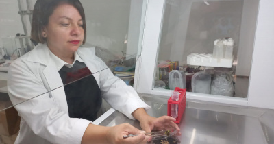 Las mujeres están tomando el espacio que les corresponde y recibiendo el crédito que merecen: Dra. Anareli Quintero