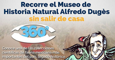 Invita UG a recorridos virtuales del Museo Alfredo Dugès