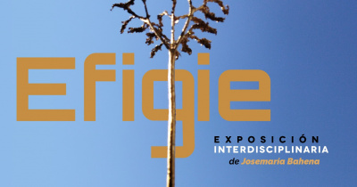 Llevan exposiciones artísticas a las Univerciudades de la UG