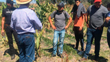 El Centro Interdisciplinario de Agroecología de la UG recibe visita de estudiantes del ITESS