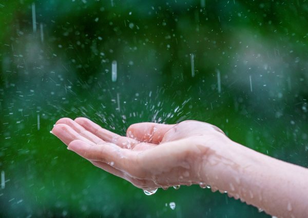 Meteorólogo UG pronostica lluvias moderadas y temperaturas cálidas