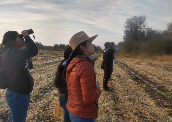 En la UG identifican especies de aves asociadas a los agroecosistemas