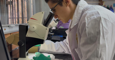 Investigador UG busca fortalecer el sistema inmune de plantas ante infecciones causadas por hongos