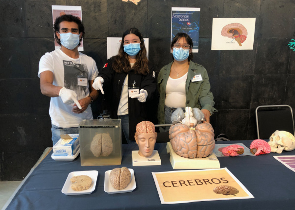 Lidera Dra. Martha Silvia Solís Ortiz investigación sobre el papel de las proteínas en la prevención y tratamiento del Alzheimer  