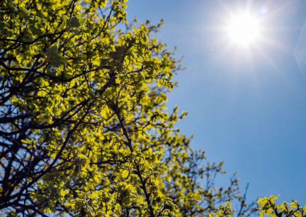 Pronostican altas temperaturas y escasas lluvias en los próximos días