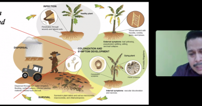 El Dr. Freddy Magdama enseña en la UG medidas preventivas ante nueva epidemia en la agricultura 