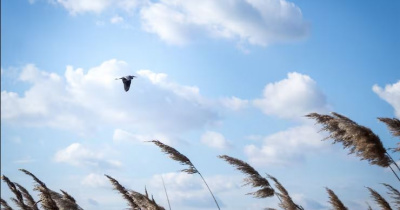 Arranca diciembre con vientos frescos y lluvia ligera en Guanajuato