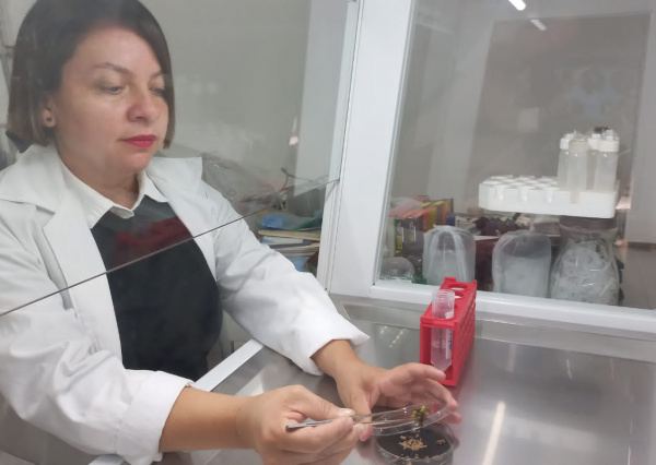 Las mujeres están tomando el espacio que les corresponde y recibiendo el crédito que merecen: Dra. Anareli Quintero