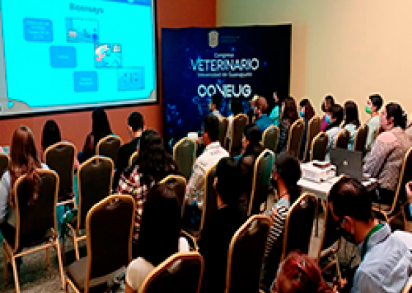 Congreso Veterinario COVEUG aportó casos clínicos de pequeñas especies y mejoras en crianza de ganado