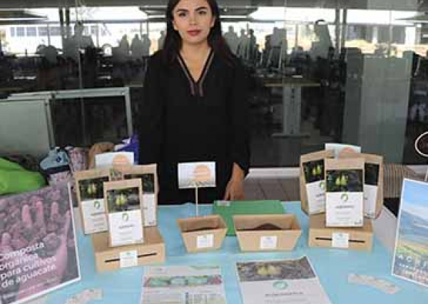 Estudiantes UG desarrollan productos y servicios para responder a problemáticas sociales