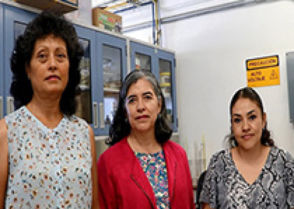 Investigadoras UG obtienen patente por el desarrollo de productos cosméticos con acción antioxidante  