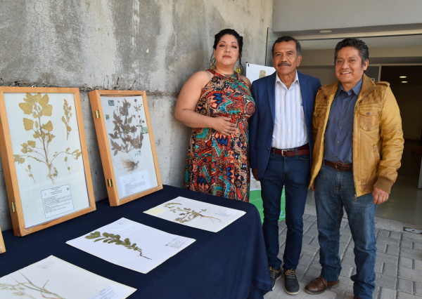 Especialistas en vegetación colaboran en el II Ciclo Internacional de Conferencias de Botánica 