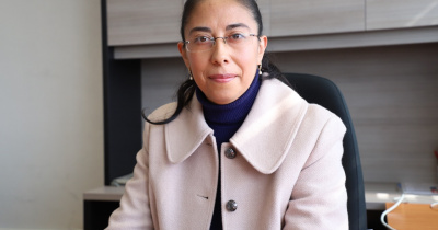 Investigadora UG lidera esfuerzos para impulsar la construcción de un sincrotrón en México