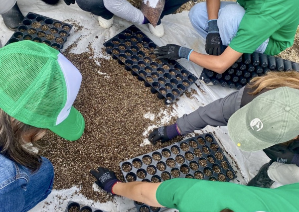 UG impulsa la conservación ambiental con el Vivero de Propagación de Árboles Nativos