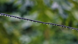 Las lluvias persistirán esta semana, advierte meteorólogo de la UG