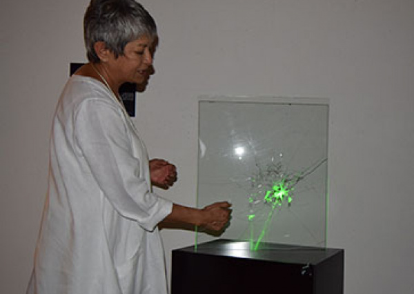 Científica y artista de la UG comparte proyectos de nuevo arte óptico para comunicar la ciencia 